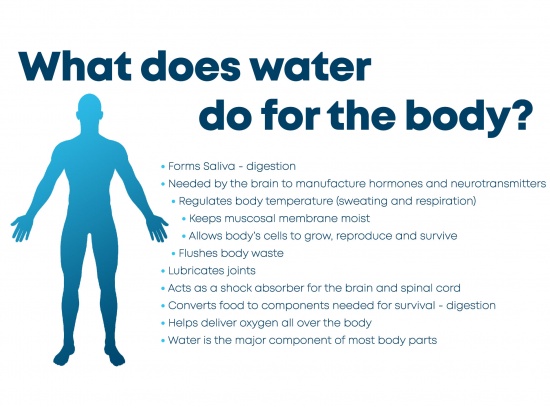 The Need for Pure Drinking Water